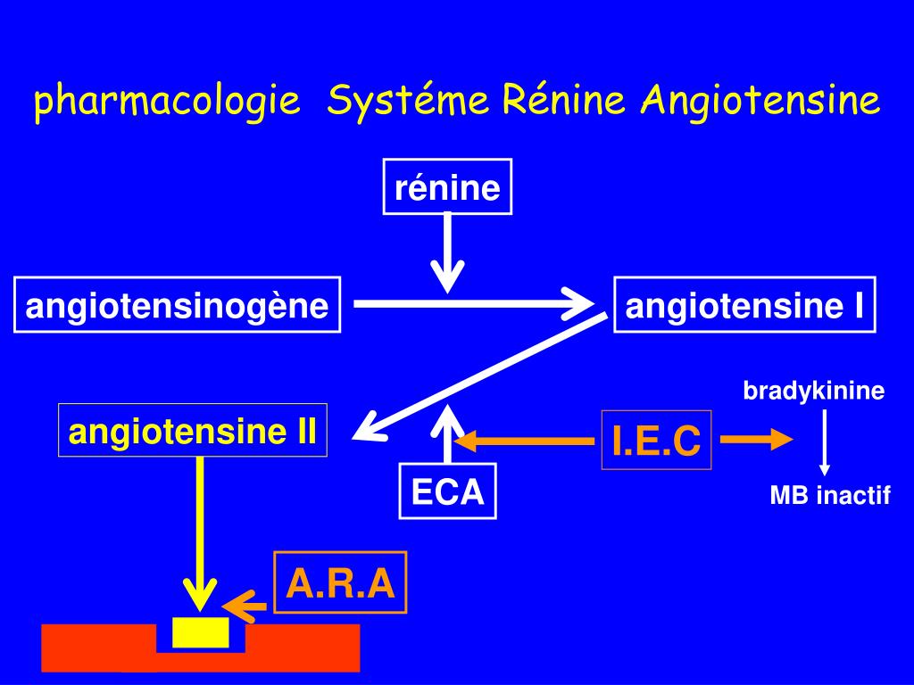 PPT - 1) inhibiteurs du système rénine-angiotensine 2) Inhibiteurs ...