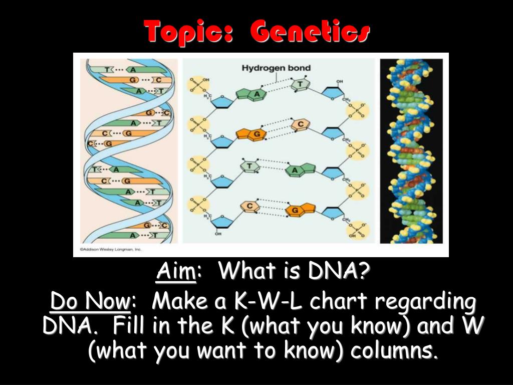 presentation topic genetics