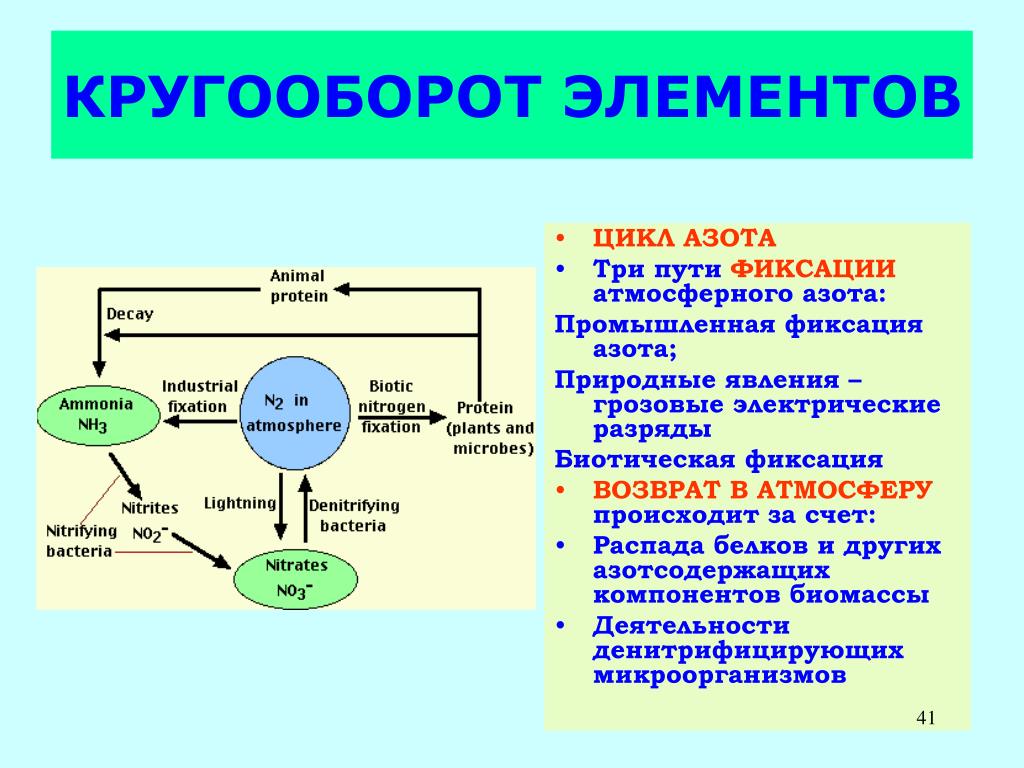 Сколько в процентном отношении азота в атмосфере