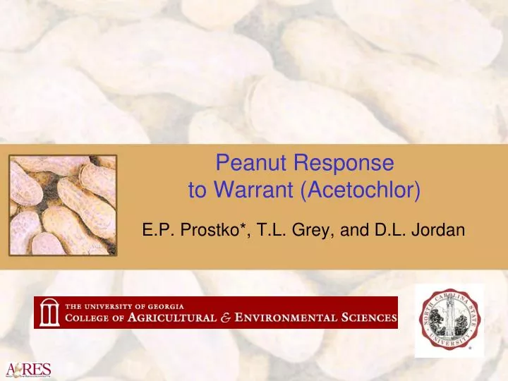 peanut response to warrant acetochlor n.