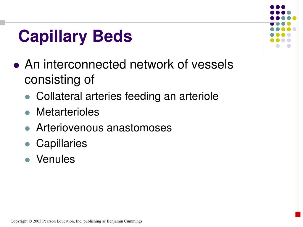 PPT Heart & Blood Vessels Histology By Dr. Nabil, Khouri PowerPoint