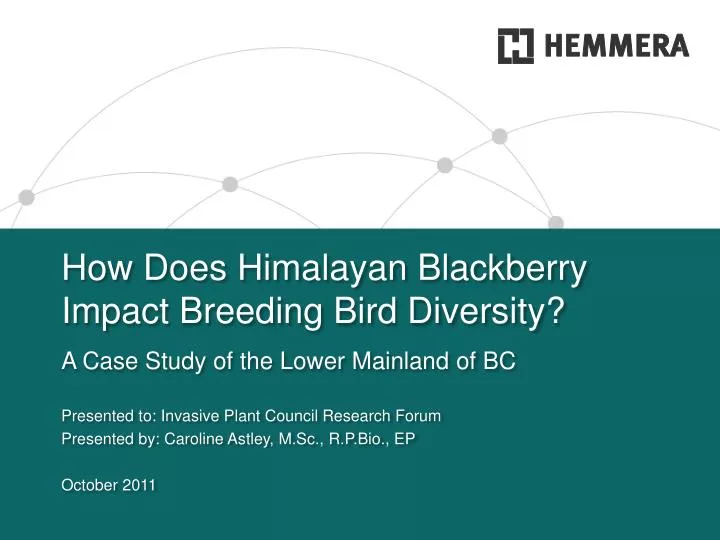 how does himalayan blackberry impact breeding bird diversity n.