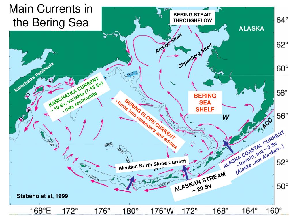 Холодное течение температура воды. Морские течения Беренгово моря. Морские течения Берингова моря. Берингово море течения холодные и тёплые. Карта течений Берингова моря.