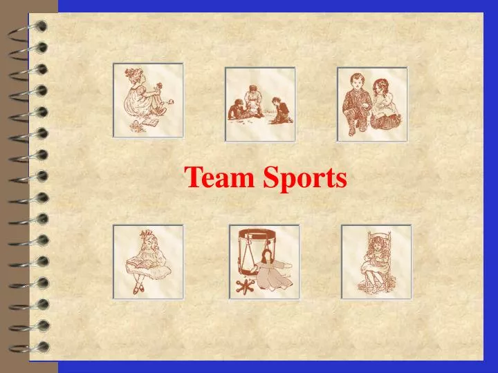 team sports n.