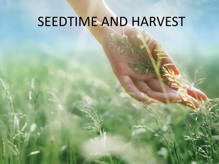 PPT SEEDTIME AND HARVEST PowerPoint Presentation, free download ID