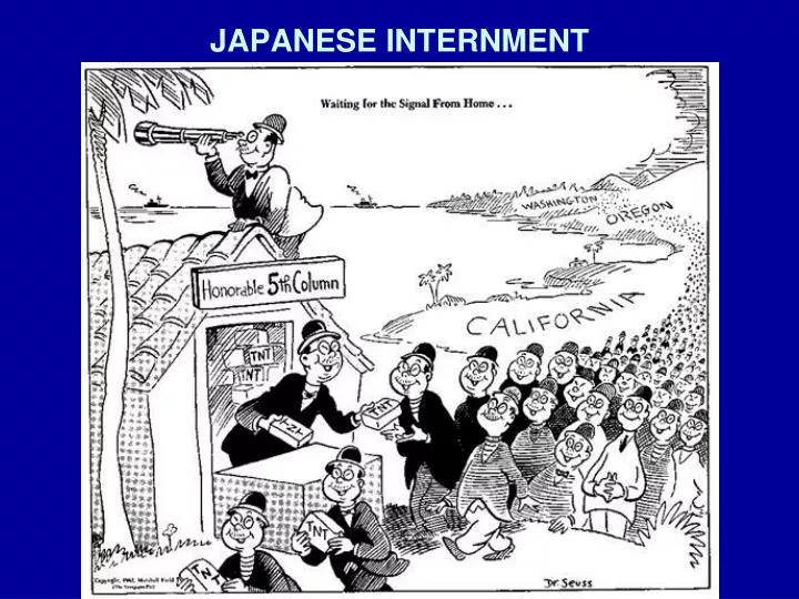 japanese internment n.
