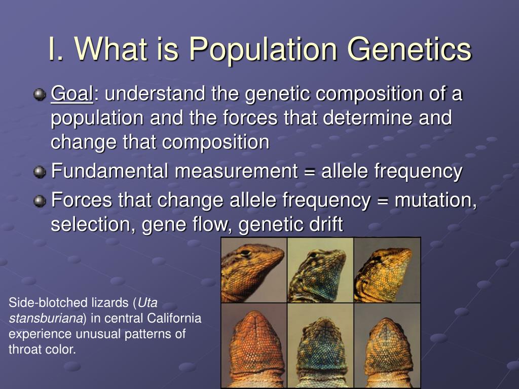 population genetics research paper