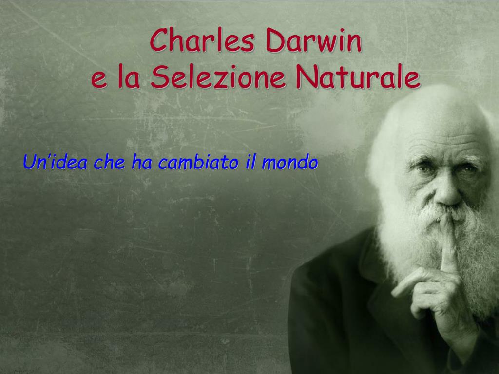PPT - Charles Darwin e la Selezione Naturale PowerPoint Presentation, free  download - ID:3948882