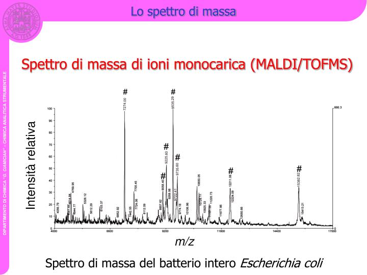 PPT - Schema di uno spettrometro di massa PowerPoint Presentation - ID