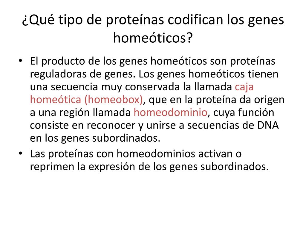 PPT - Genética 2014 PowerPoint Presentation, free download - ID:3949923