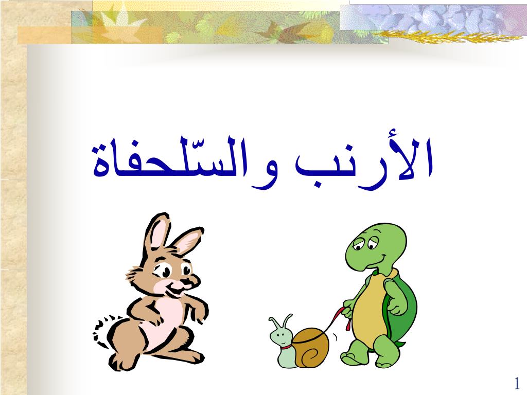 PPT - الأرنب والس ّ لحفاة PowerPoint Presentation, free download -  ID:3950930