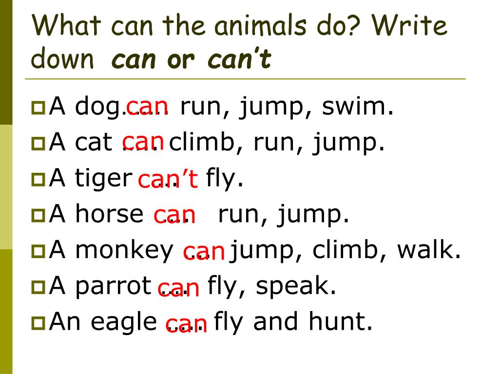 My dog can run and jump. Can cant animals. Can or can't. What can animals do. Animals английский задания can or can,t.