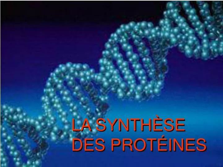 PPT - LA SYNTHÈSE DES PROTÉINES PowerPoint Presentation, free download