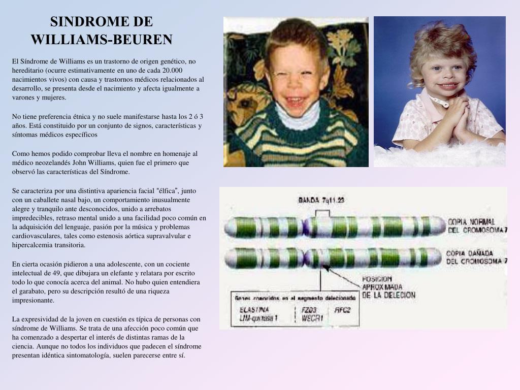 PPT - NUCLEO PowerPoint Presentation, free download - ID:3951729