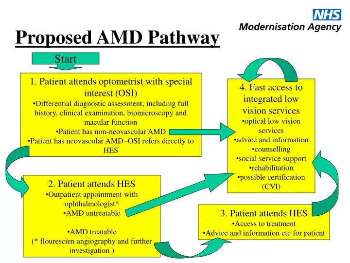 proposed amd pathway n.