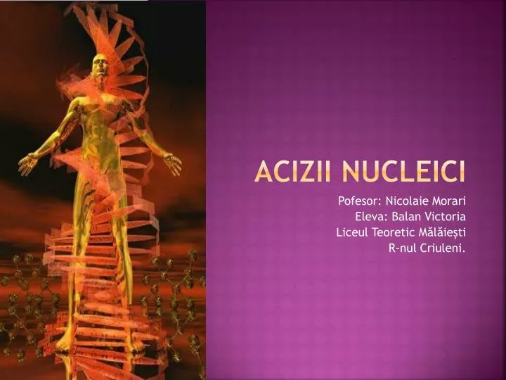 PPT - Acizii Nucleici PowerPoint Presentation, free download - ID:3952666