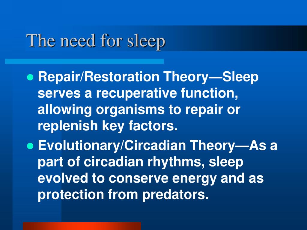 repair and restoration theory of sleep