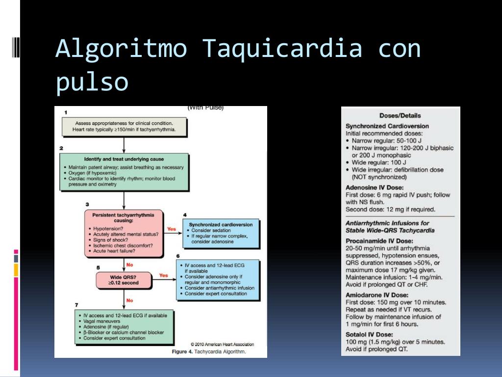 PPT - Guias de RCP y ACLS Actualizaciones 2010 PowerPoint Presentation ...