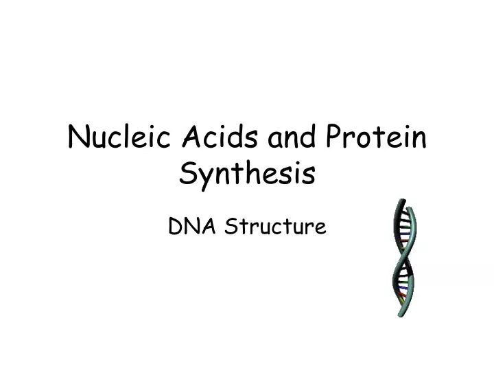 PPT Nucleic Acids and Protein Synthesis PowerPoint Presentation, free