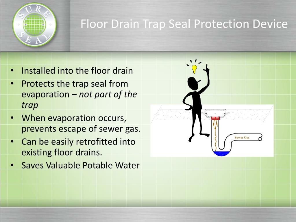 Ppt Floor Drain Trap Seal Protection Powerpoint Presentation