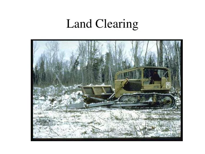 land clearing n.