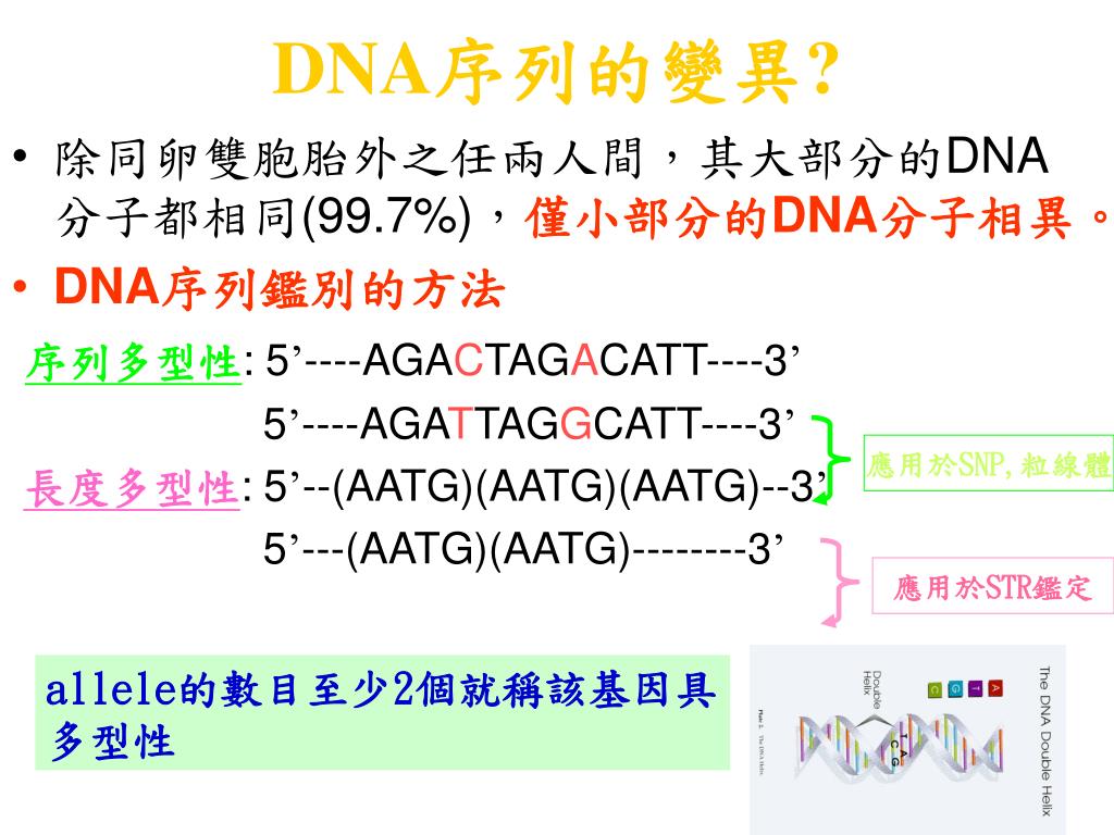 Ppt 06 Dna 鑑定原理及運用powerpoint Presentation Free Download Id