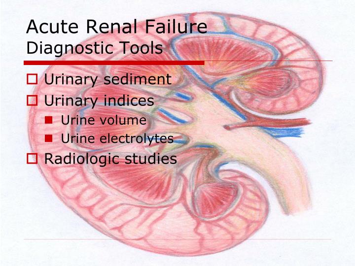 acute renal failure ms jones a 68 year old female underwent A female, 68 years old, was admitted with type 2 diabetes mellitus with a diabetic ulcer of the left heel the patient was taken to the operating room for excisional. acute renal failure ms jones a 68 year old female underwent A female, 68 years old, was admitted with type 2 diabetes mellitus with a diabetic ulcer of the left heel the patient was taken to the operating room for excisional.