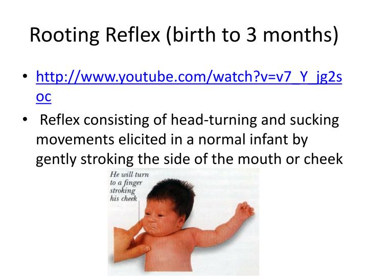 ppt-child-development-reflexes-powerpoint-presentation-id-3959645