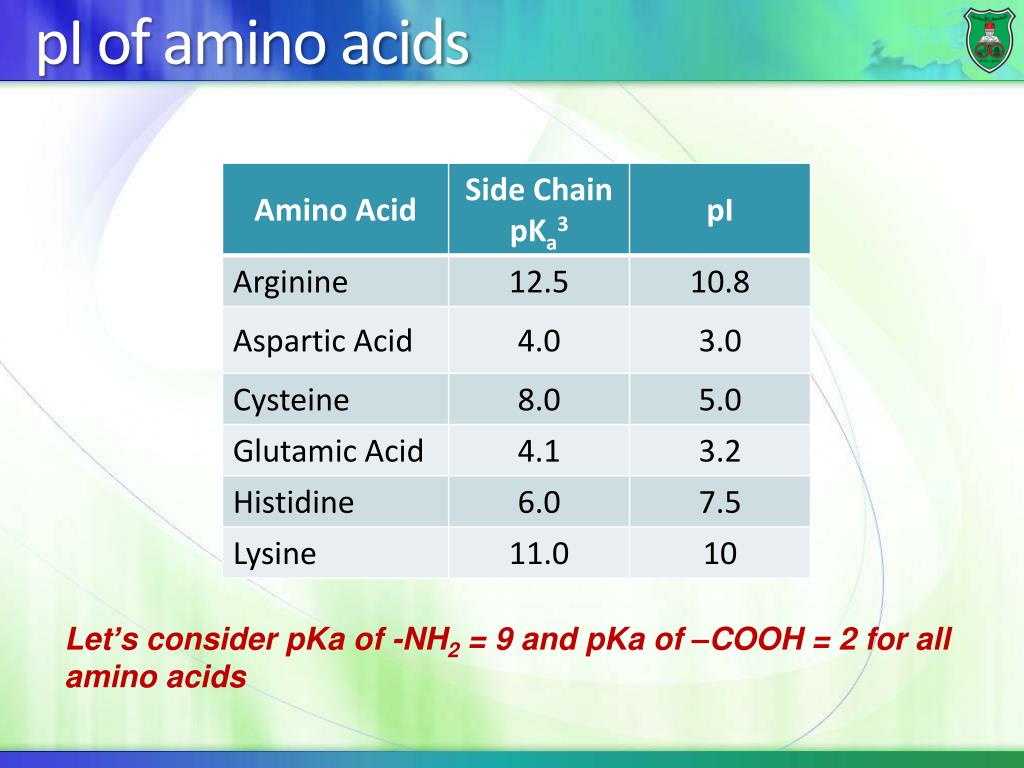 calculate pi of amino acid calculate pi of amino acid