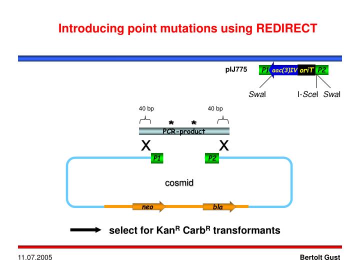 PPT Lambda RED PowerPoint Presentation ID3960528