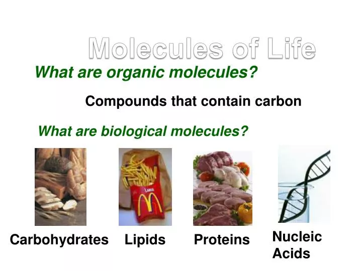 Ppt Molecules Of Life Powerpoint Presentation Free Download