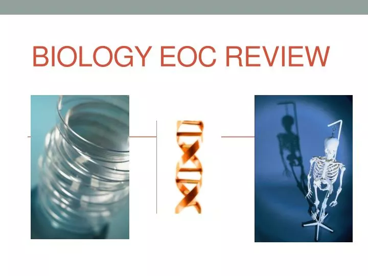 biology eoc review n.