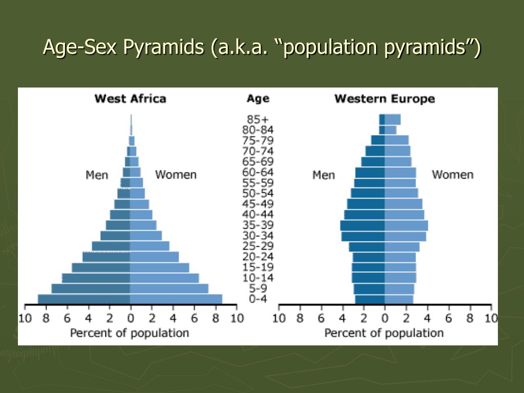 Ppt Population Pyramids Age Sex Pyramid Powerpoint Sexiezpix Web Porn