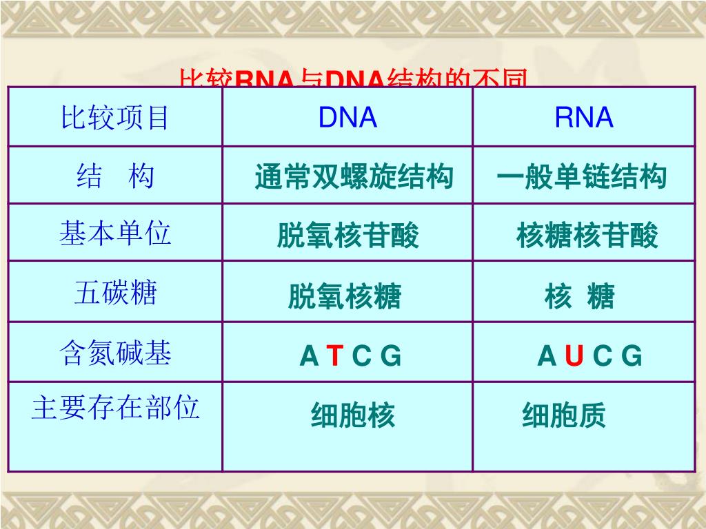 PPT - 第 4 章 基因的表达 PowerPoint Presentation, free download - ID:3962544