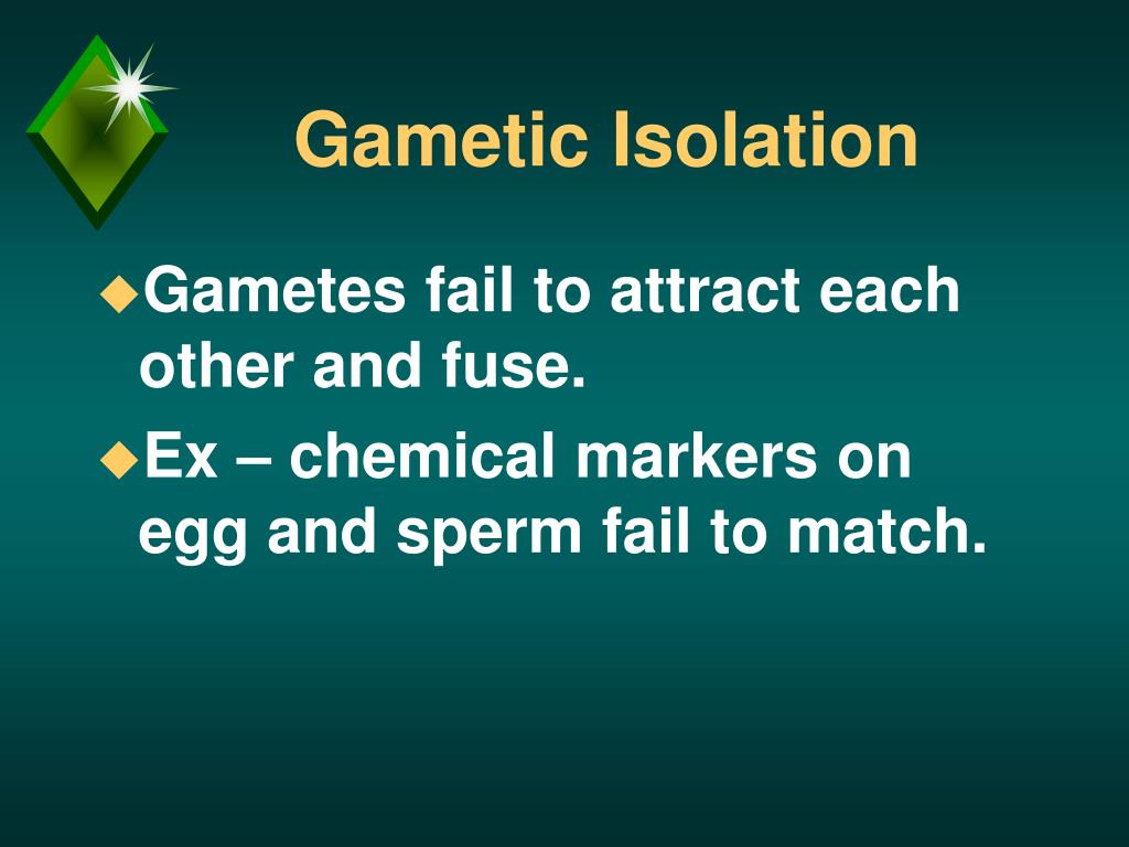 PPT Chapter 24 The Origin of Species PowerPoint Presentation, free