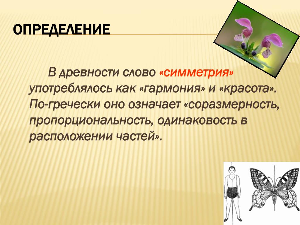 PPT - Проектная работа на тему: Симметрия в нашей жизни PowerPoint Presentation