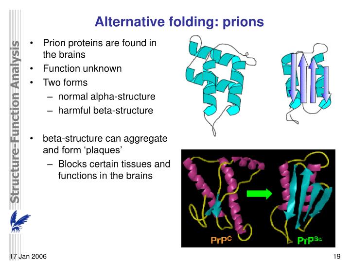 protein structure and function protein structure and function