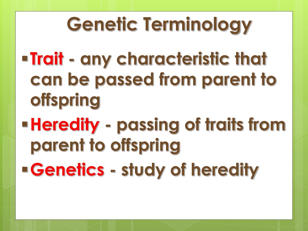 PPT - Genetic Terminology PowerPoint Presentation - ID:3965305