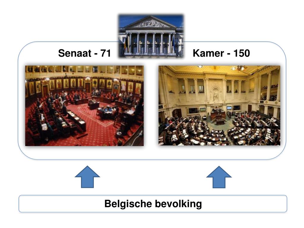 PPT - De wetgevende macht PowerPoint Presentation, free download - ID
