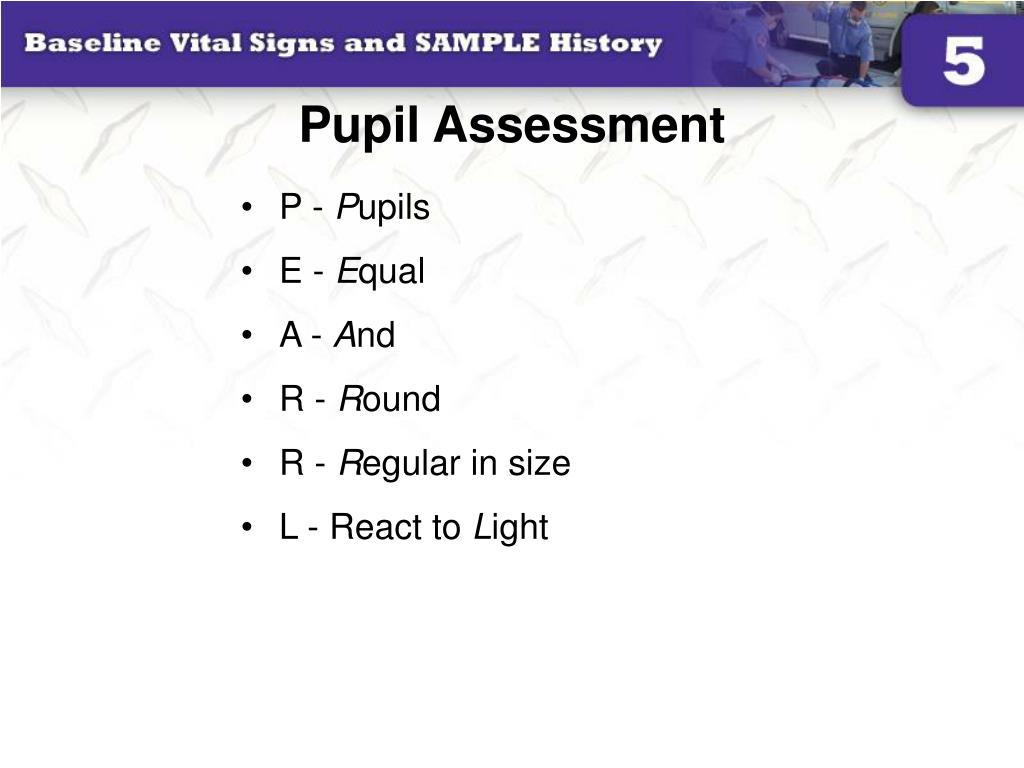 unequal pupil size but constrict equally unequal pupil size but constrict equally