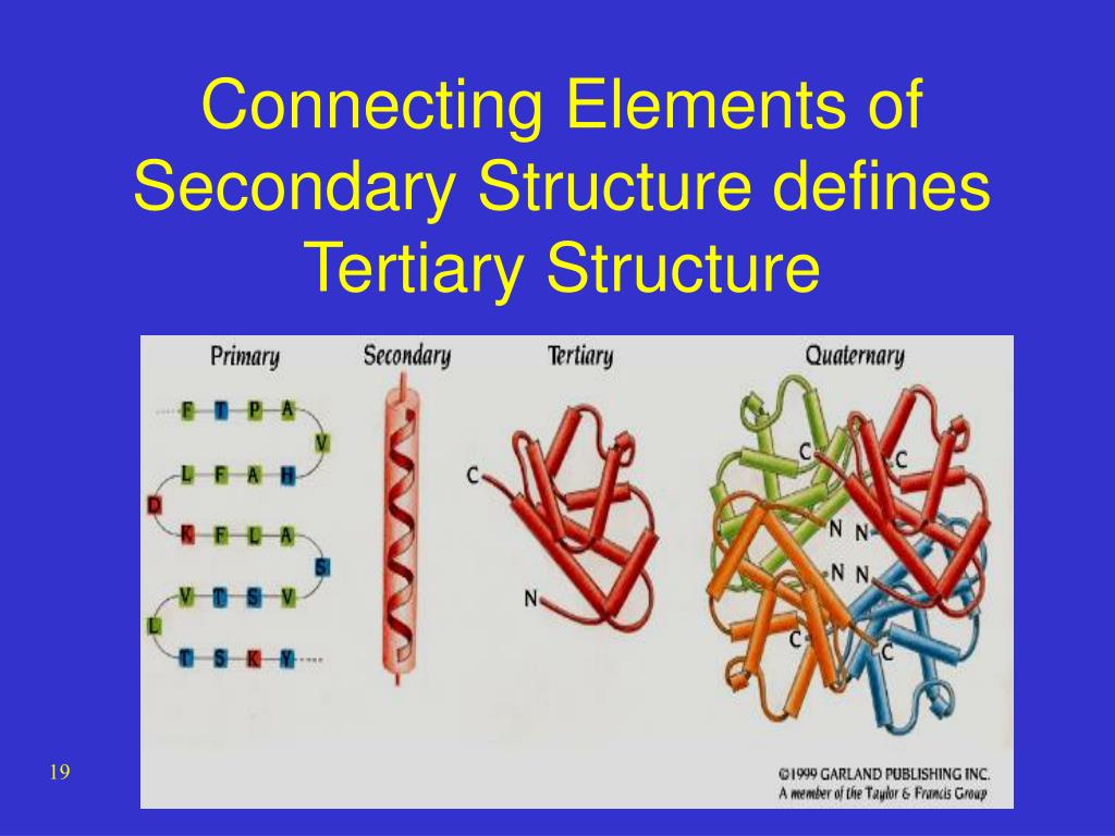 PPT Protein Secondary Structure PowerPoint Presentation free