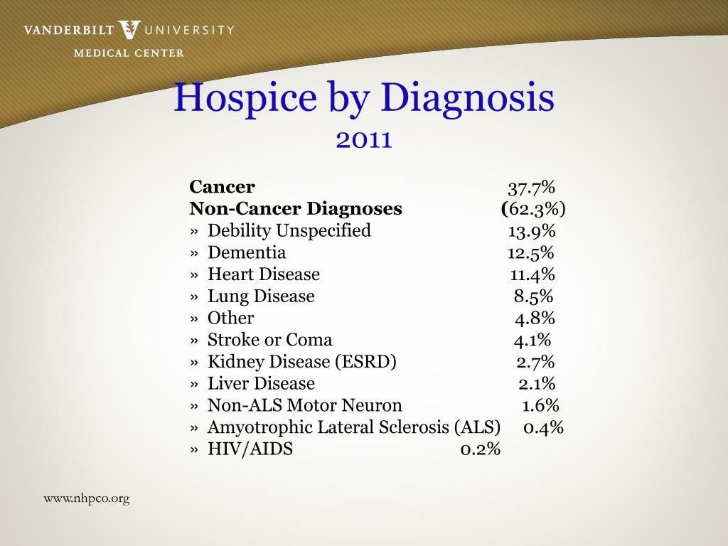 PPT What you need to know about Palliative Care PowerPoint