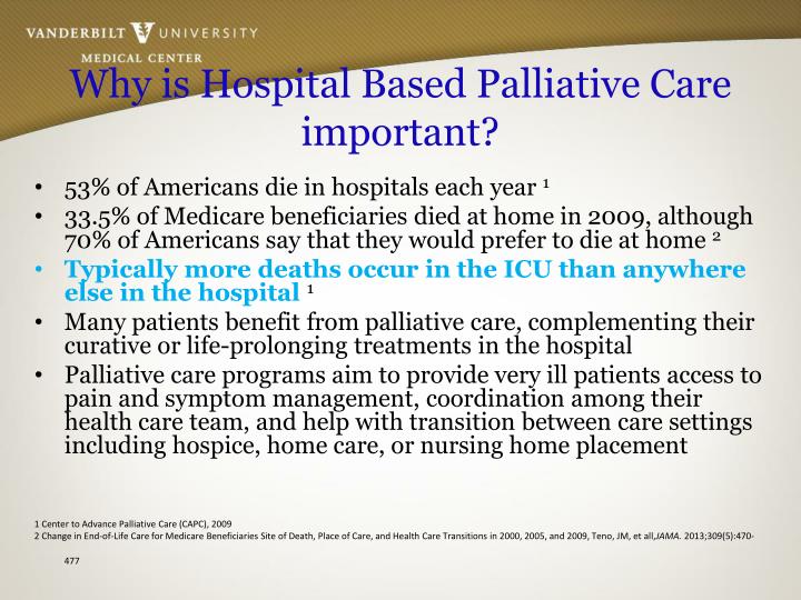 PPT What you need to know about Palliative Care PowerPoint