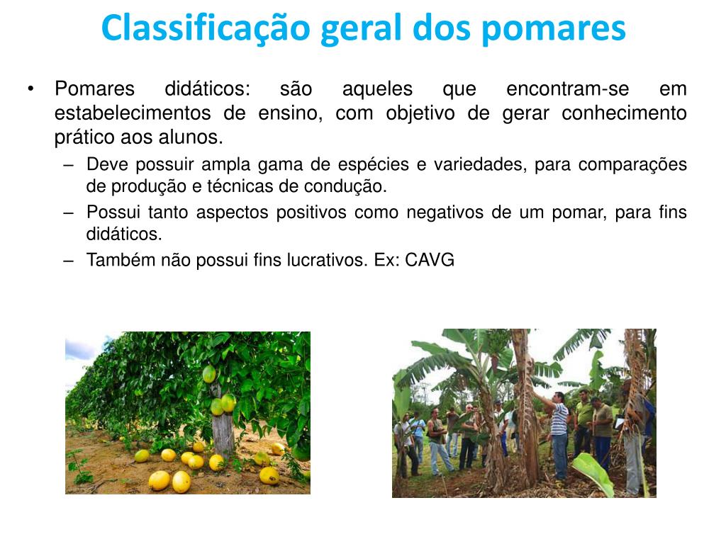 PPT - Prof. Dr. Corlett, F.M.F Pomar PowerPoint Presentation, free ...