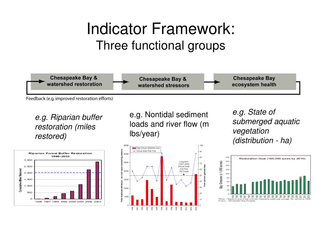 PPT Redesigning CBP indicator structure and communication strategy