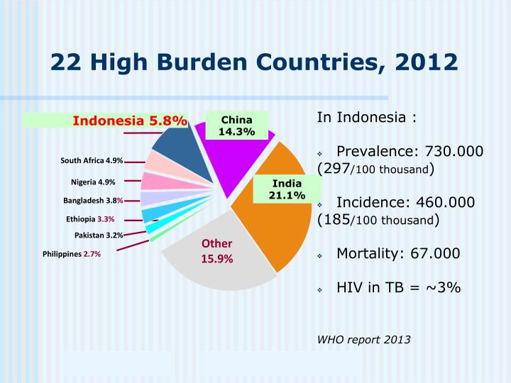 PPT - Tuberculosis In Indonesia: Tipping The Balance Towards Better ...