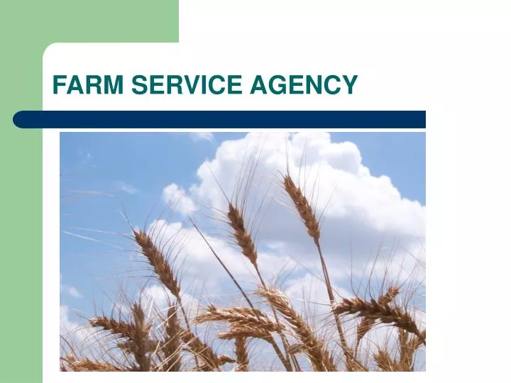 PPT FARM SERVICE AGENCY PowerPoint Presentation, free download ID