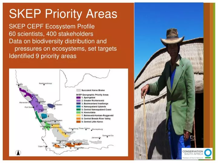 Ppt Skep Priority Areas Powerpoint Presentation Id3979661