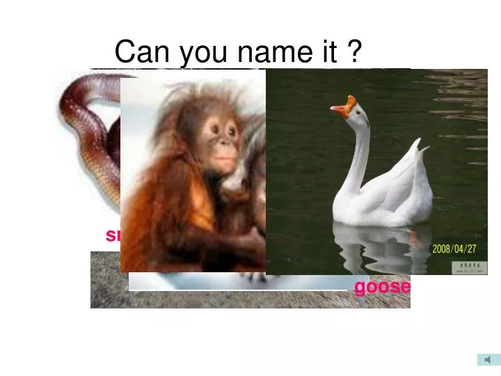 can you name it n.