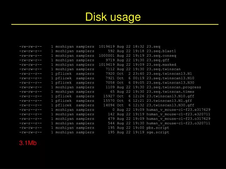 disk usage n.